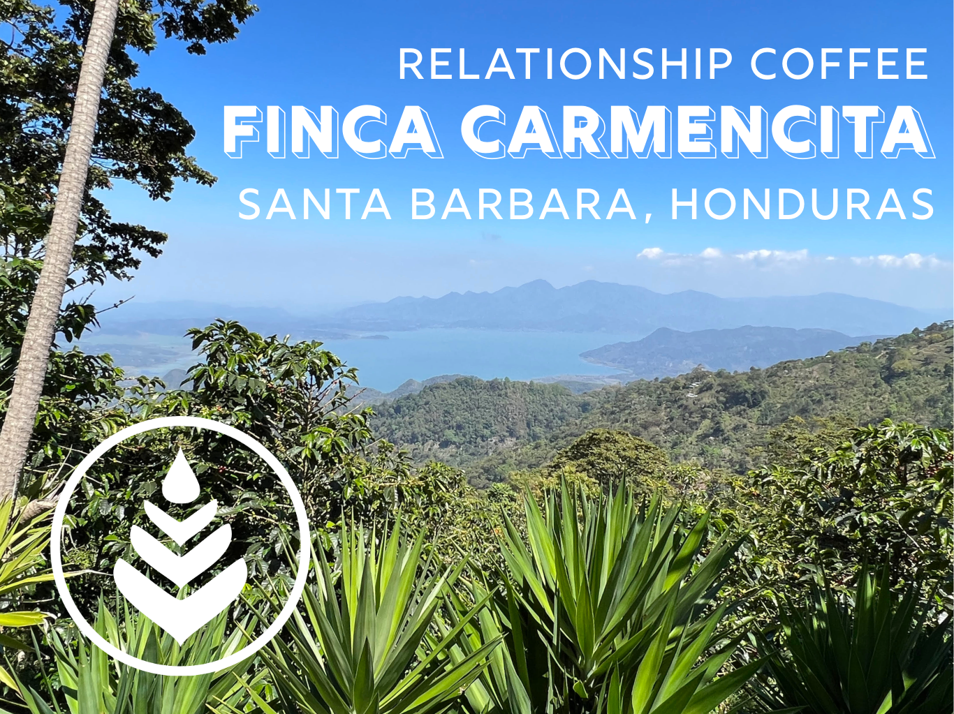FINCA CARMENCITA